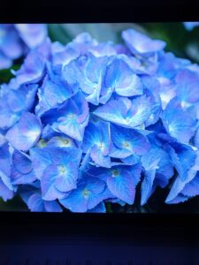 2021-05-15T21_55_11+02_00